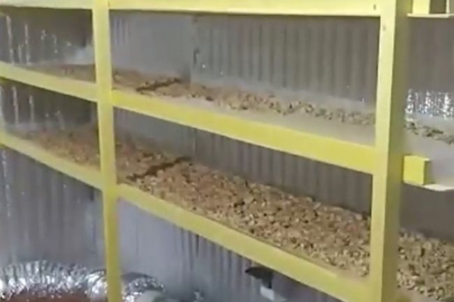 Кадр из видео