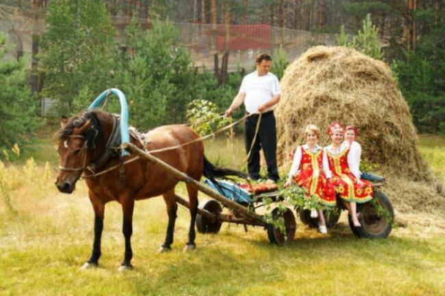 Грант на развитие агротуризма