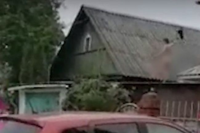 Кадр из видео с тг-канала "Калуга Жесть"