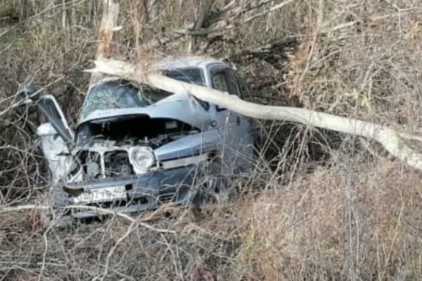 На сельской трассе в Калужской области джип улетел в кювет и врезался в дерево