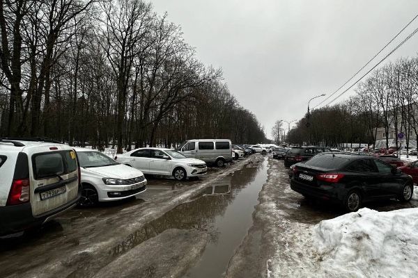 Калужских чиновников назвали импотентами