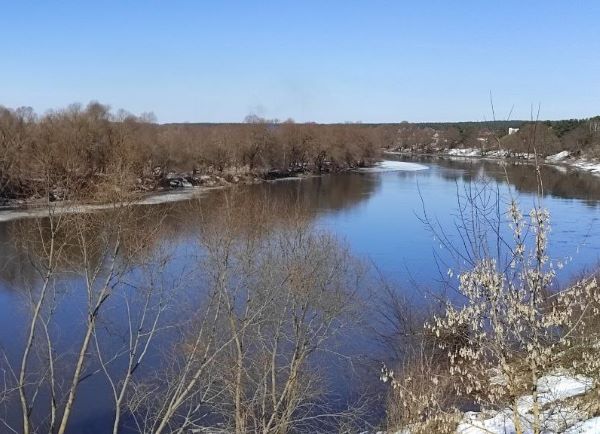 Угра увеличилась вдвое - читатели «КН» прислали фото разлива крупнейших калужских рек