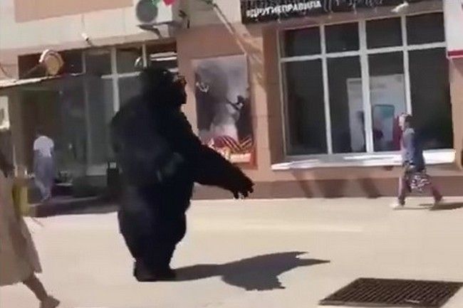 Кадр из видео. Калуга Жесть / Telegram