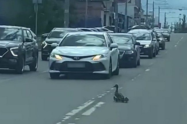 Кадр из видео. Калуга За рулем / ВКонтакте