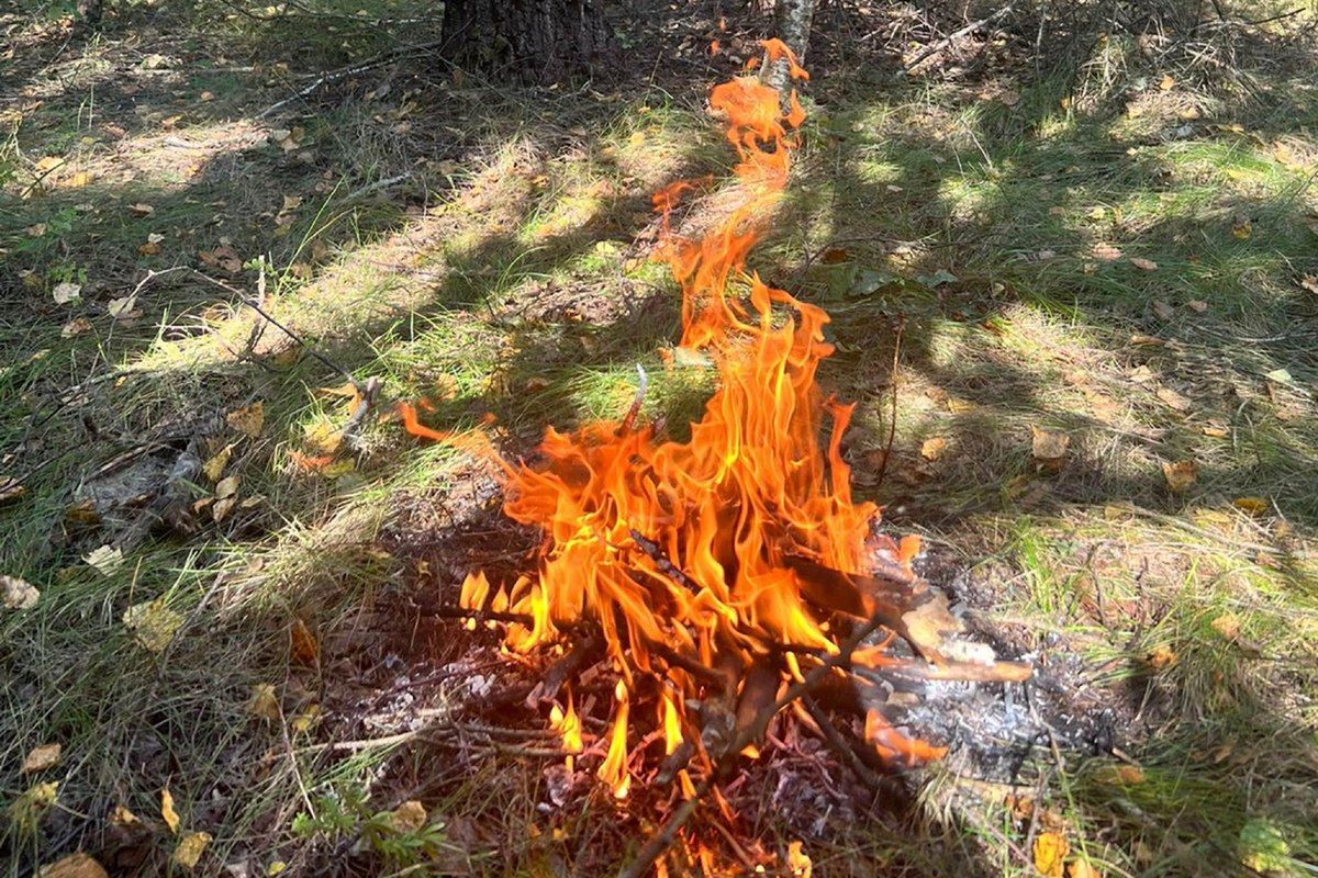 Жителя Калужской области оштрафовали на 15 тысяч рублей за костер в лесу