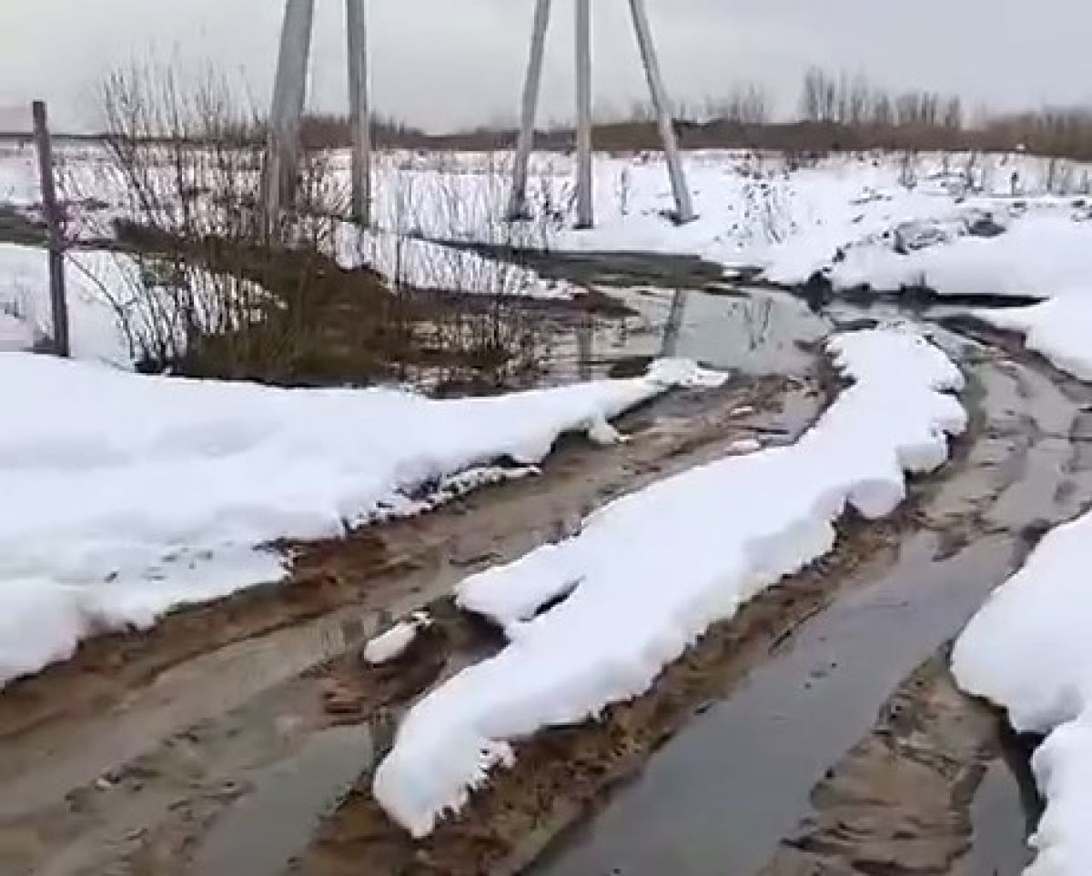 жители деревни Чижовка