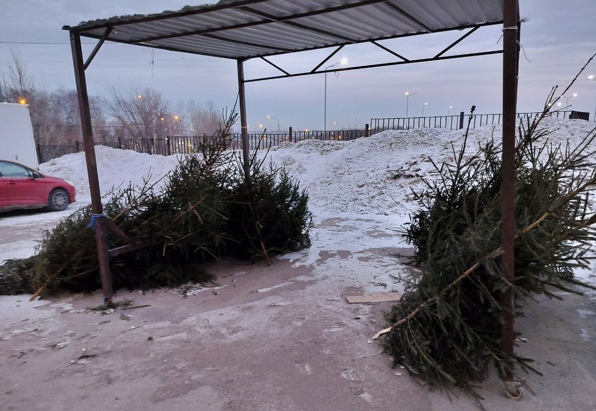 Свежие новости бизнеса сегодня