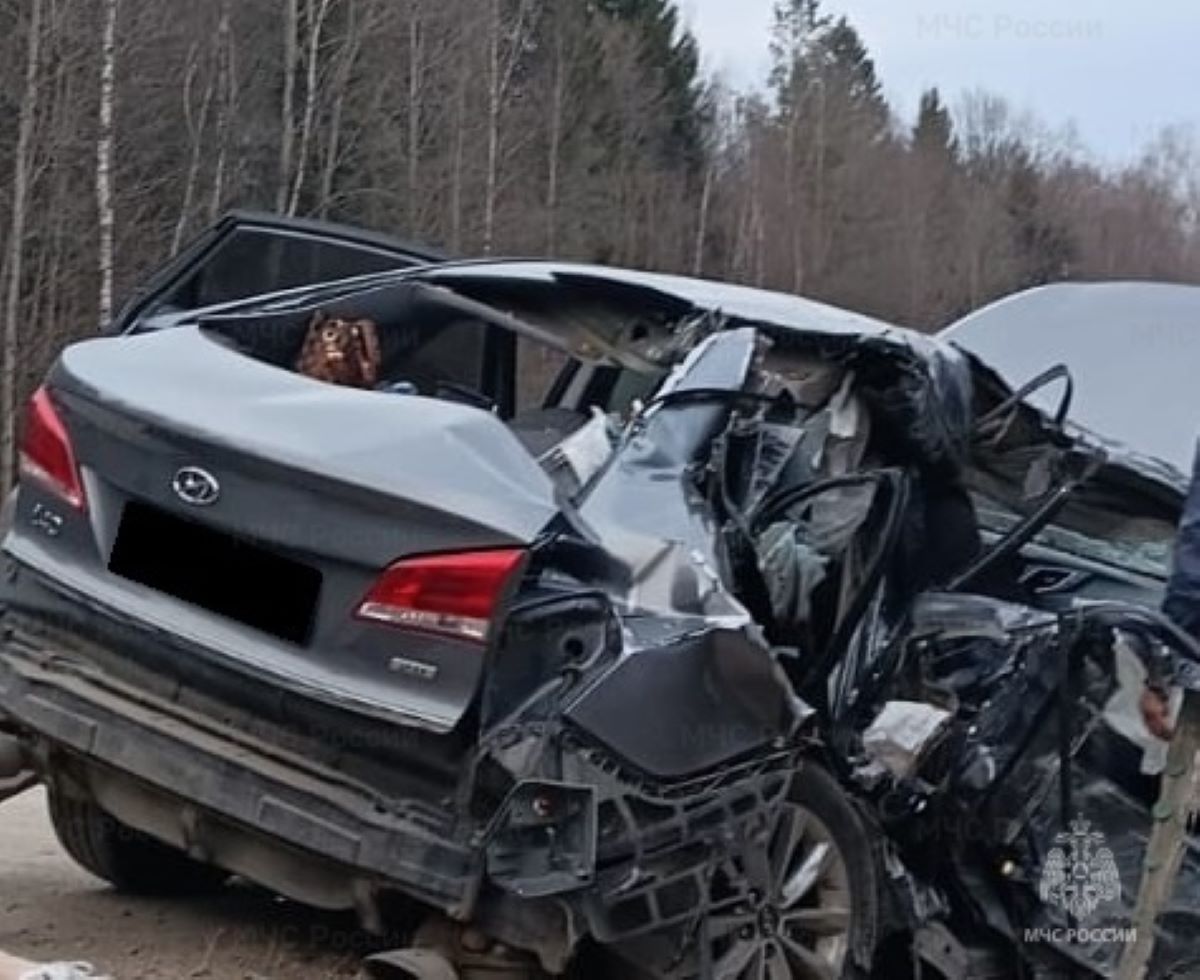 На убившего женщину пьяного дальнобойщика в Калужской области возбудили уголовное дело