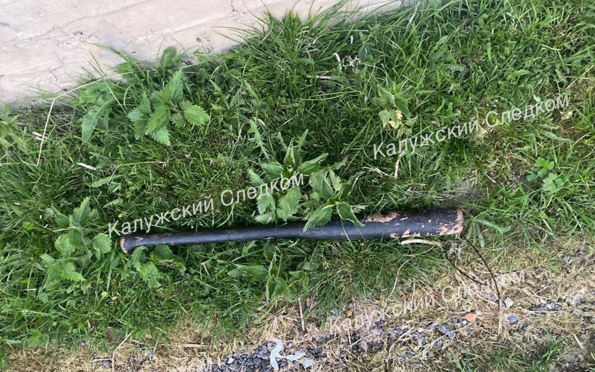 Калужанин убил знакомого бейсбольной битой