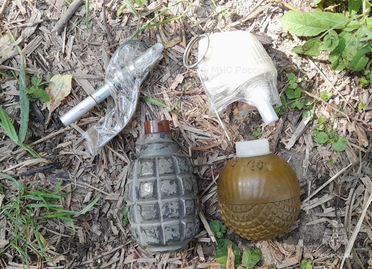 В Калуге на Салтыковке нашли гранаты времен Великой Отечественной войны