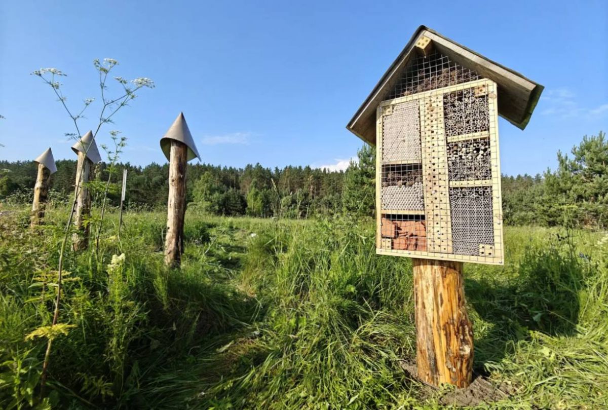Калужских пчел обеспечили жилплощадью