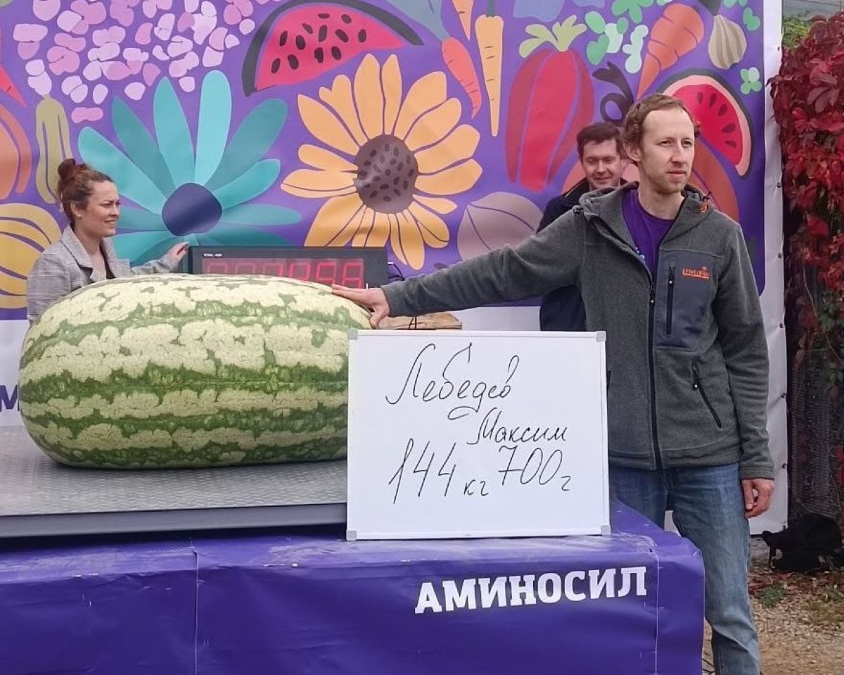 Калужанин вырастил самый большой в мире арбуз