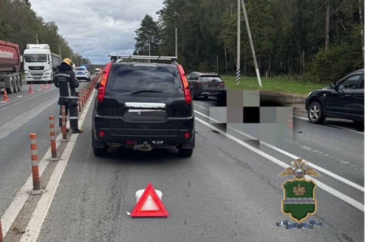 В Калужской области водитель Nissan X-Trail насмерть сбил женщину на пешеходном переходе