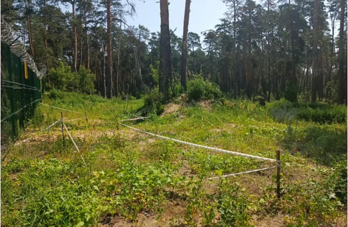 Загрязненные земли в калужском нацпарке успешно рекультивированы