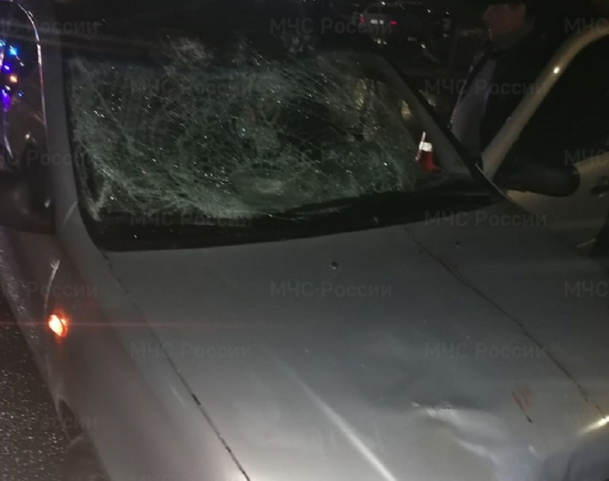 «Ваз» сбил двух пешеходов на калужской трассе