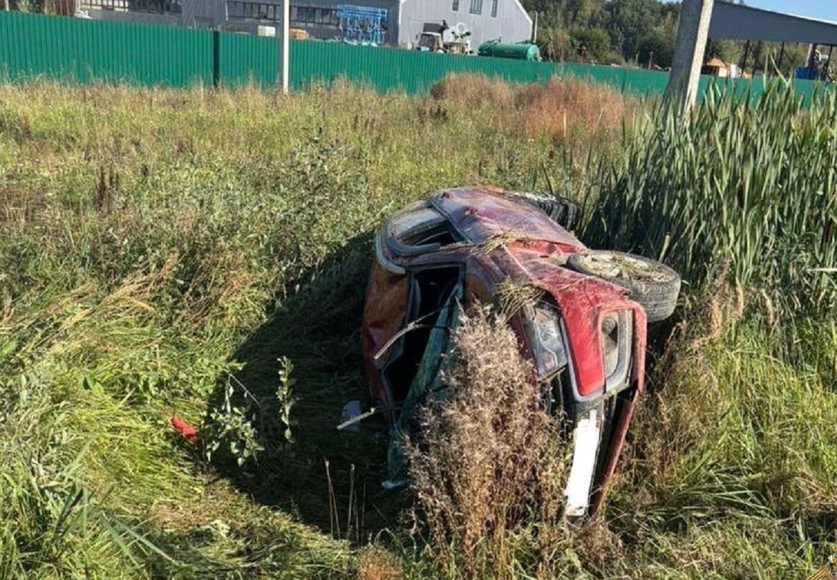 Двое маленьких детей травмированы в ДТП в Калужской области
