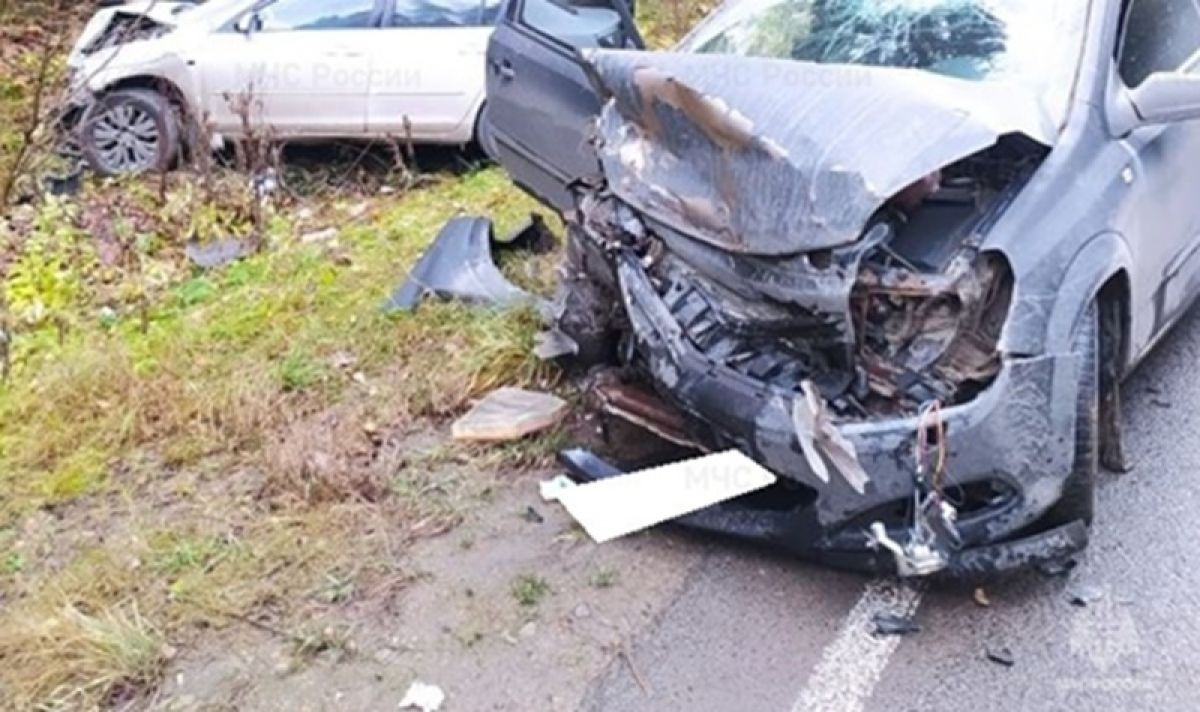 В Калужской области за сутки в ДТП пострадали 13 человек, среди них трое несовершеннолетних