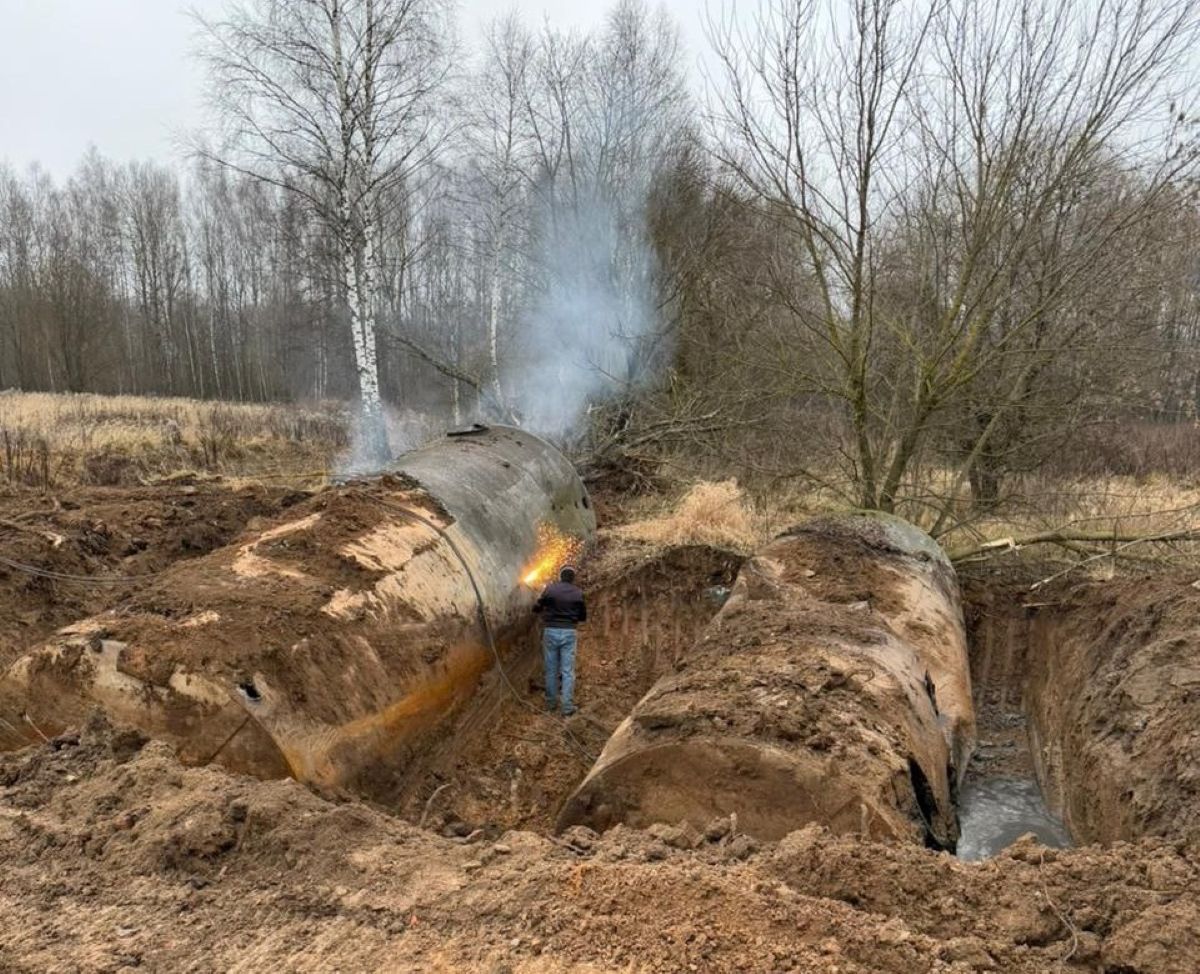 15 скотомогильников ликвидировали в Калужской области