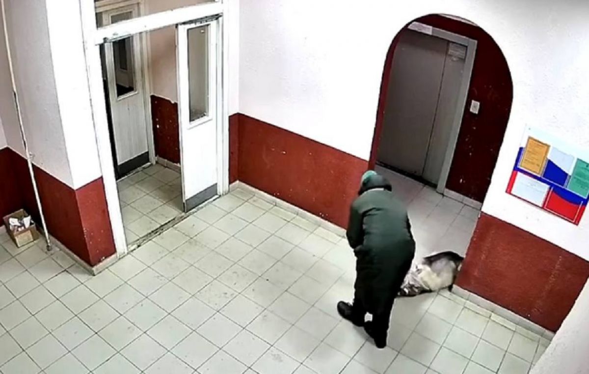 Жестоко убитая собака обнаружена во дворе жилого дома в Калуге