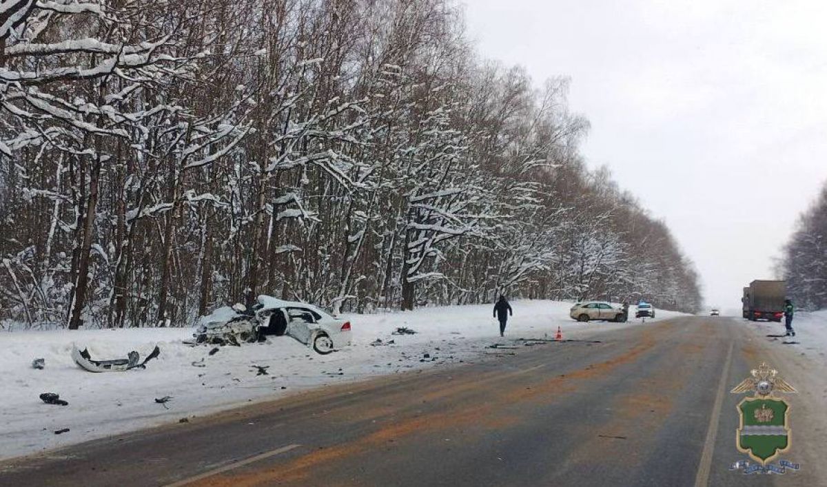 Трое погибли и двое травмированы в ДТП на трассе в Калужской области