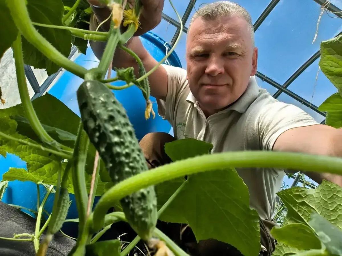 Глава Боровского района показал всем свой огурец