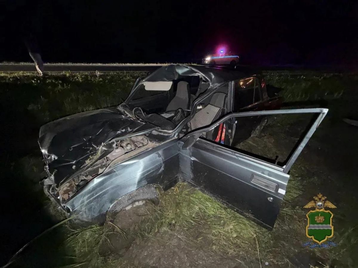 Водитель пострадал после наезда на лося в Калужской области