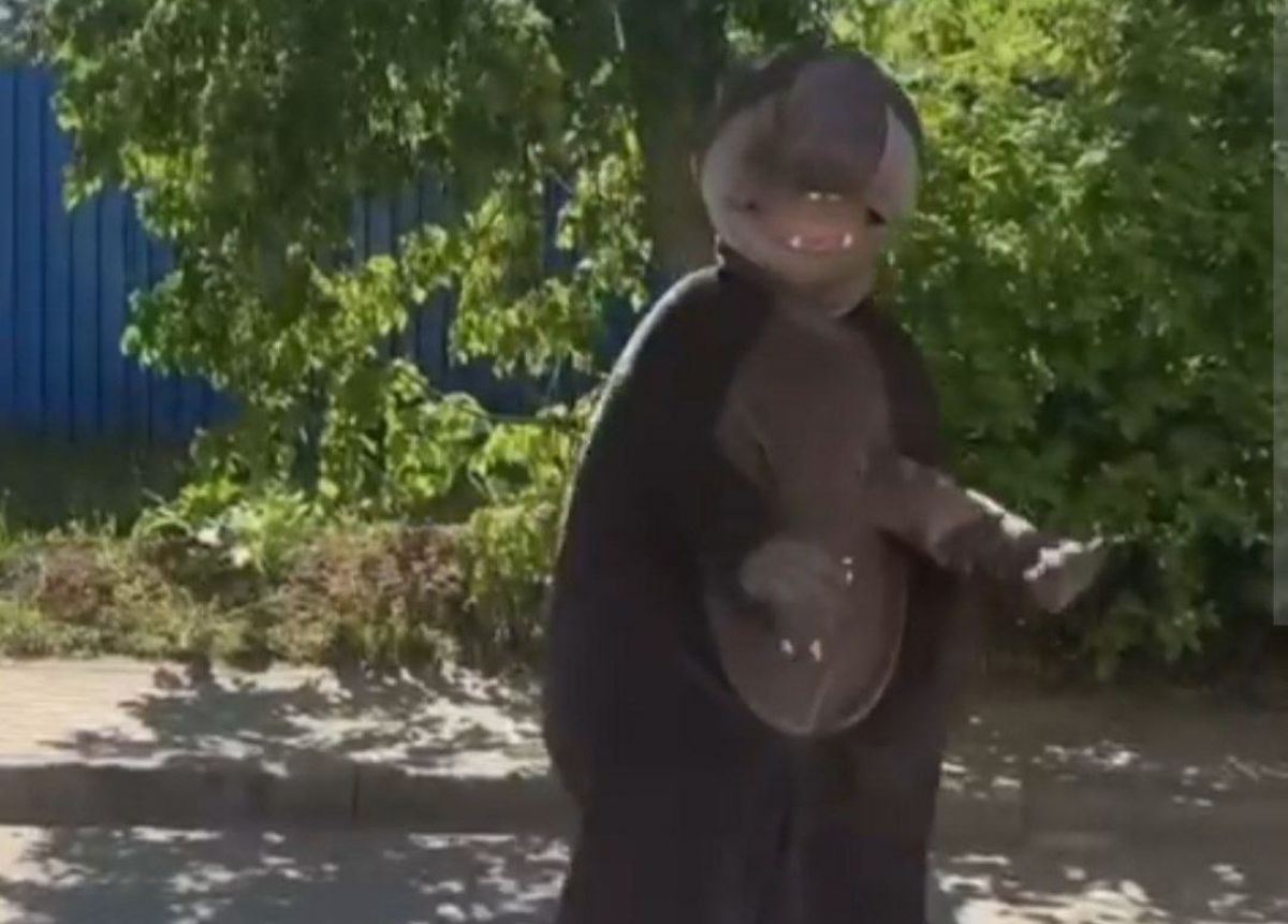 скрин видео Минприроды Калужской области
