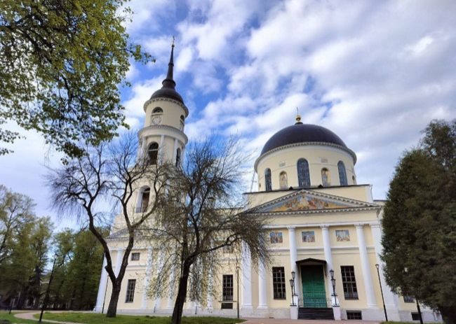 Калугу планируют засадить дорогостоящими деревьями из питомников