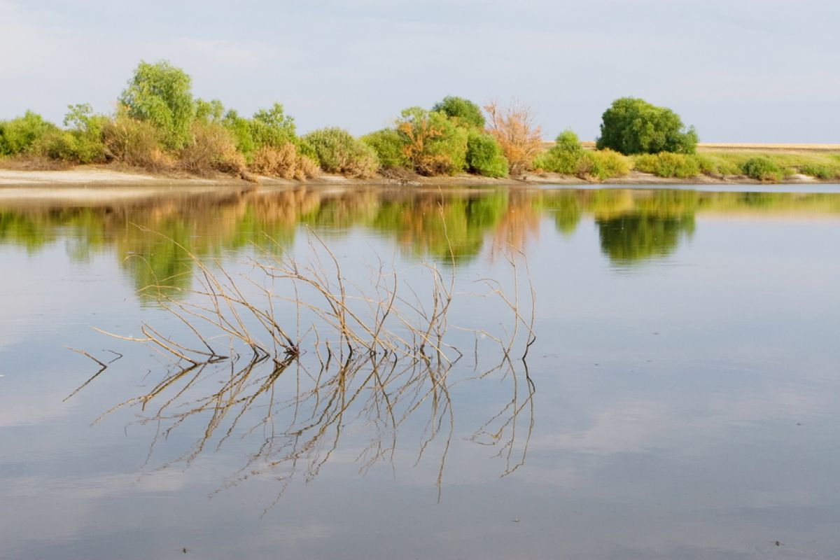 Паводок на калужских реках замедлился