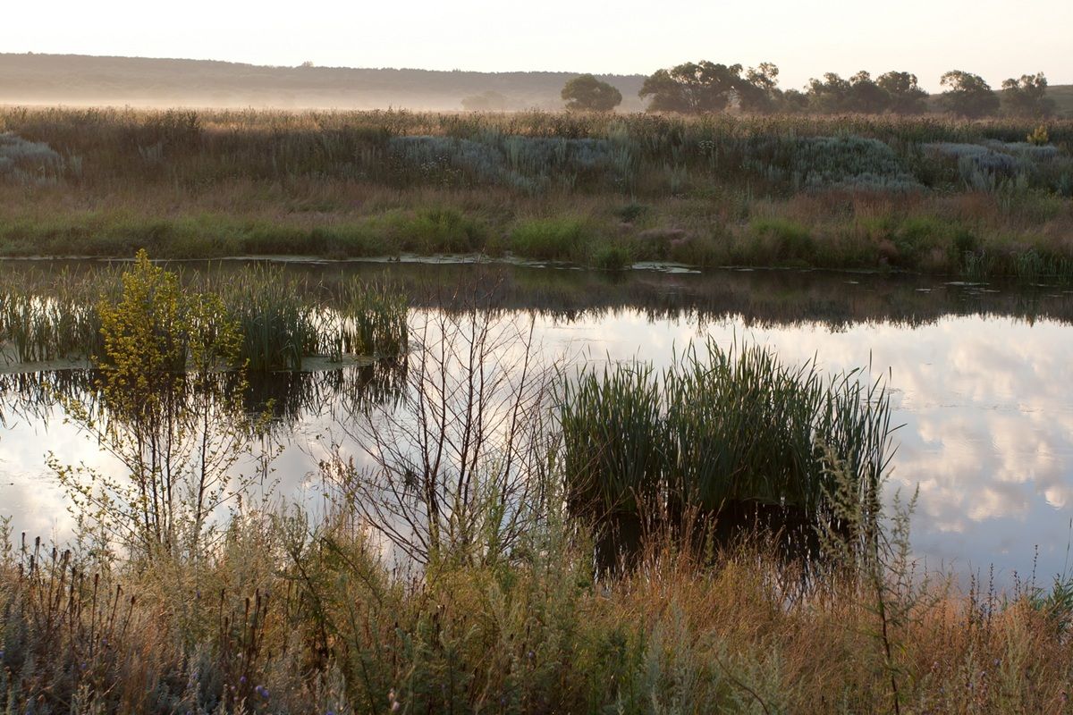 В Калужской области с 1 апреля вводится запрет на рыбалку