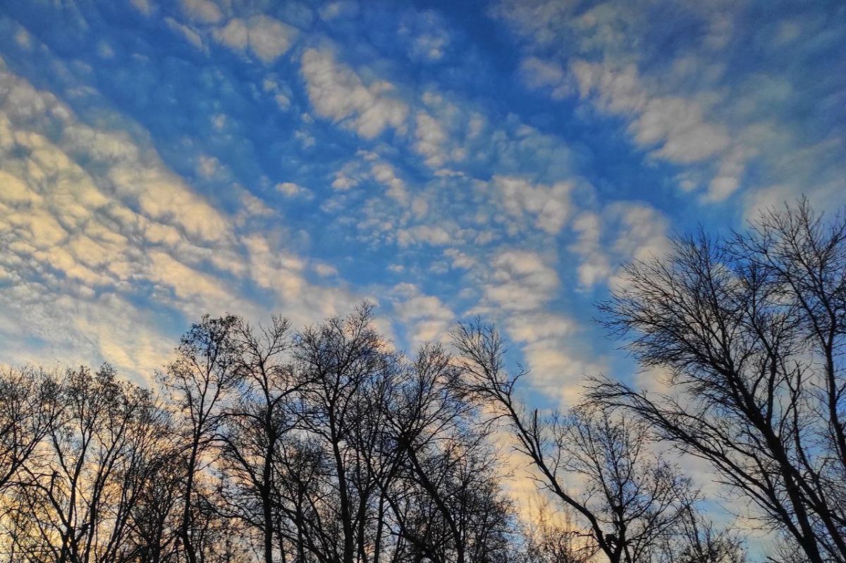 Весеннее равноденствие 2026: начало астрономической весны в Калужской области
