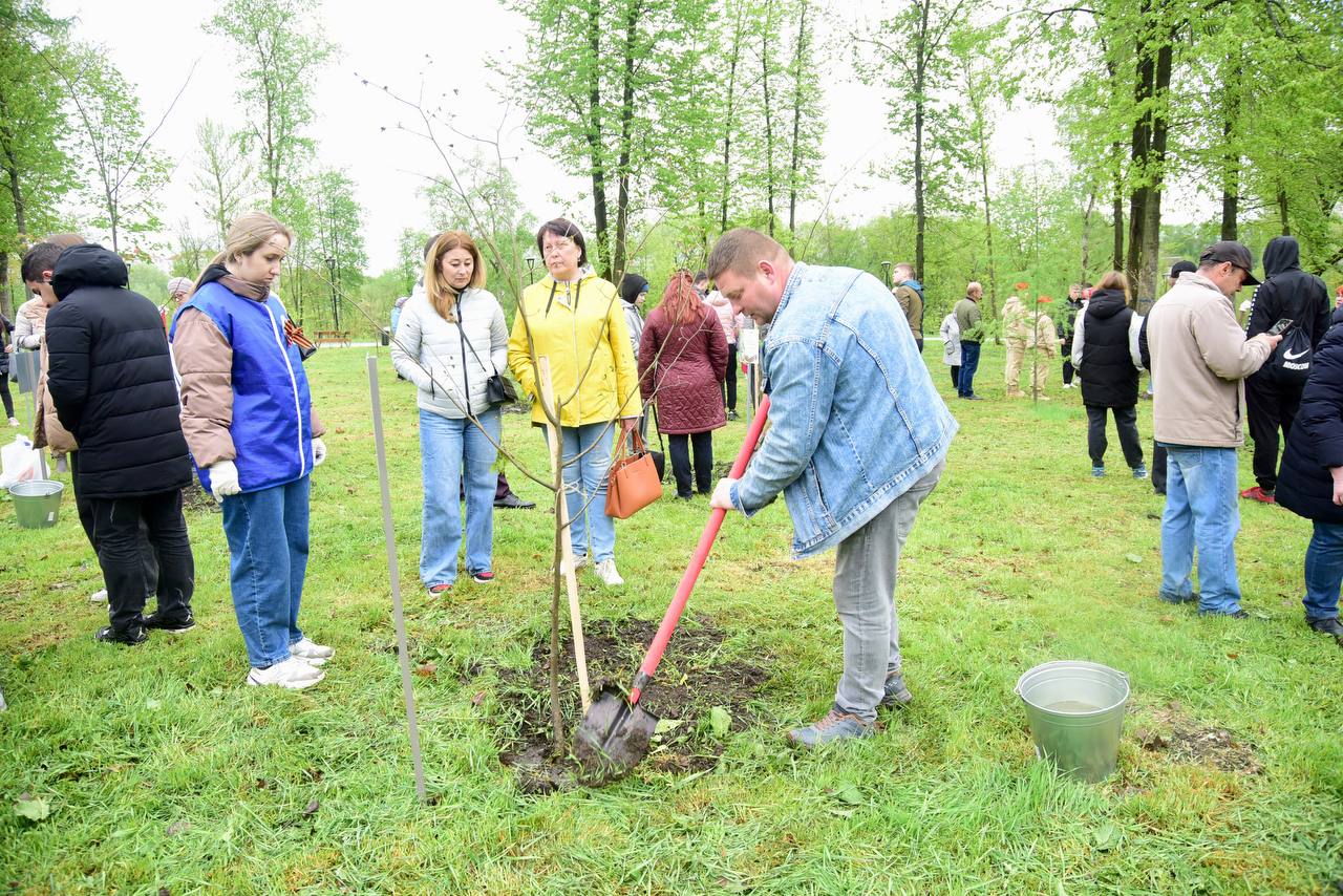 Орловцы приняли участие в акции «Сад памяти» - Орловские новости ...