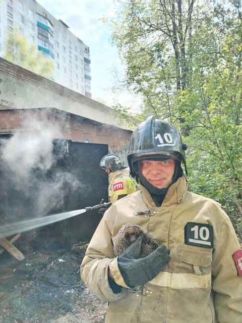 Фото МЧС по Орловской области