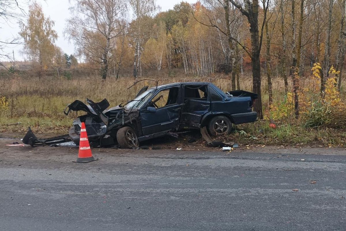 На Раздольной иномарка врезалась в дерево