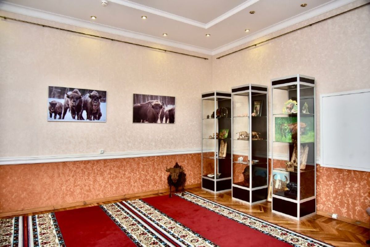 На орловский музей зубров могут посмотреть только гости Клычкова На орловский музей зубров могут посмотреть только гости Клычкова