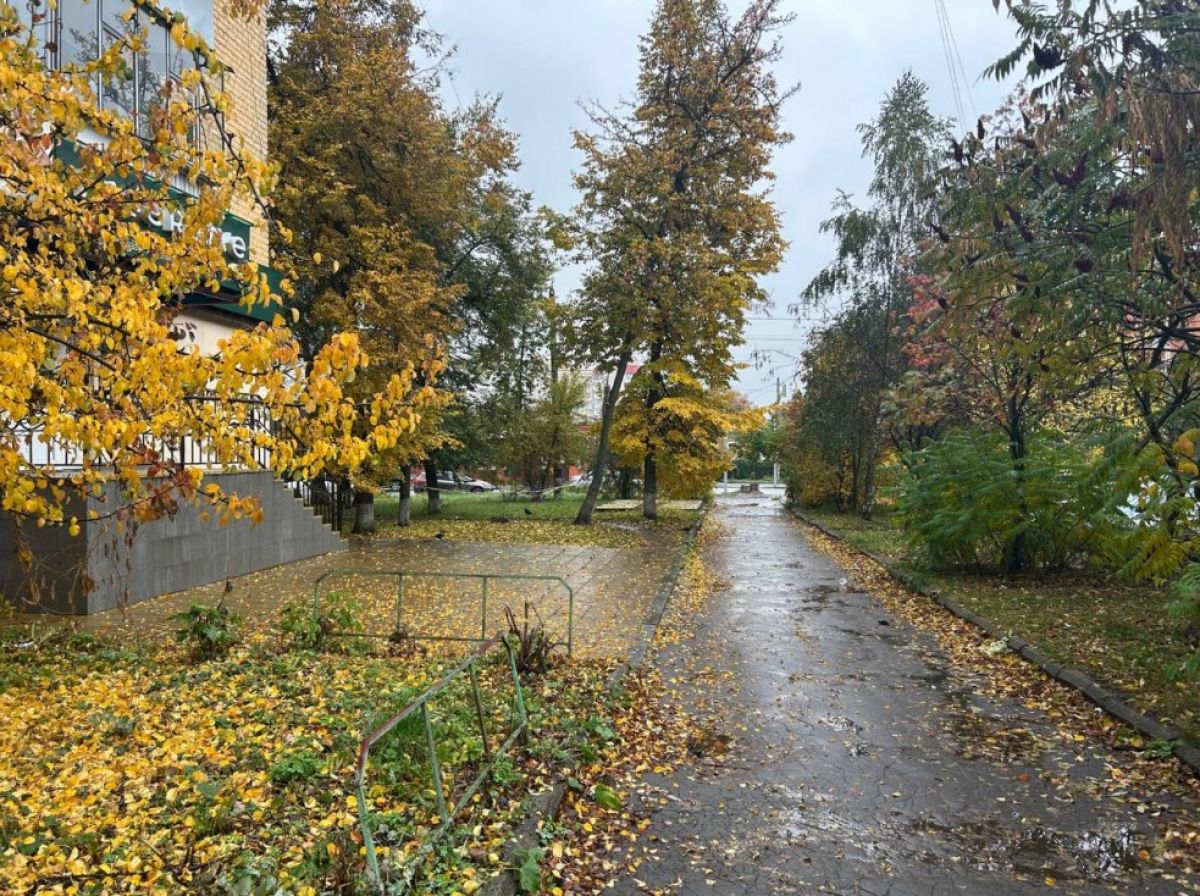 В Орловской области ожидается прохладная и дождливая неделя