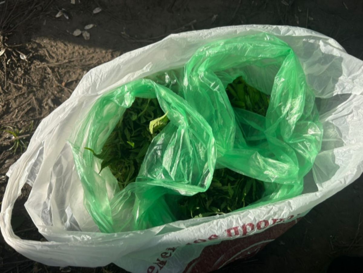 Орловец попался с поличным около куста марихуаны