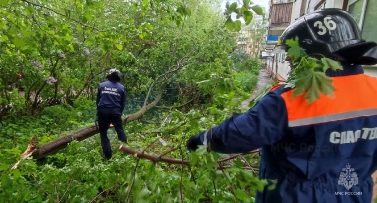 Спасатель с бензопилой помог заблокированным жителям Комсомольской