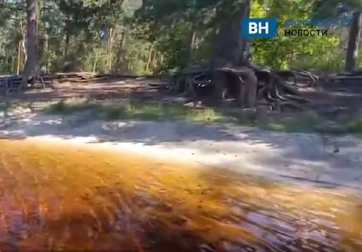 Воронежские новости