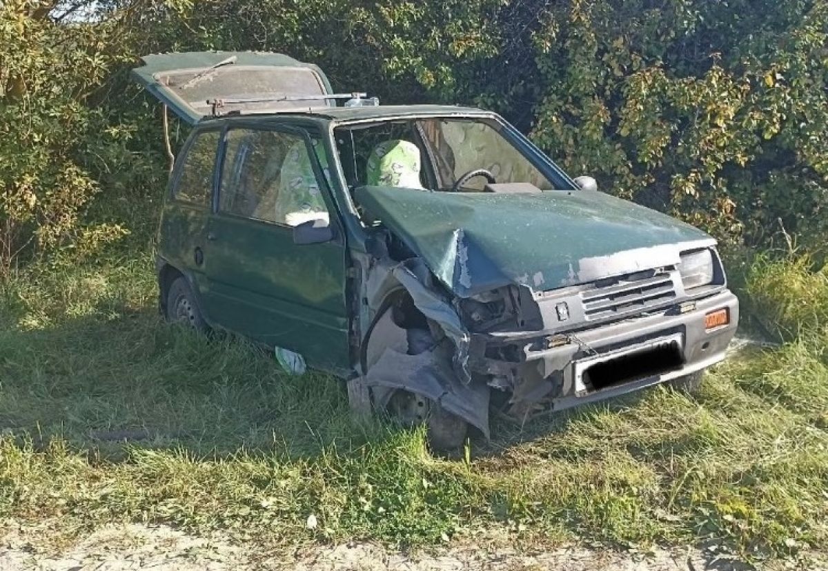 В Орловской области пожилая женщина пострадала в аварии