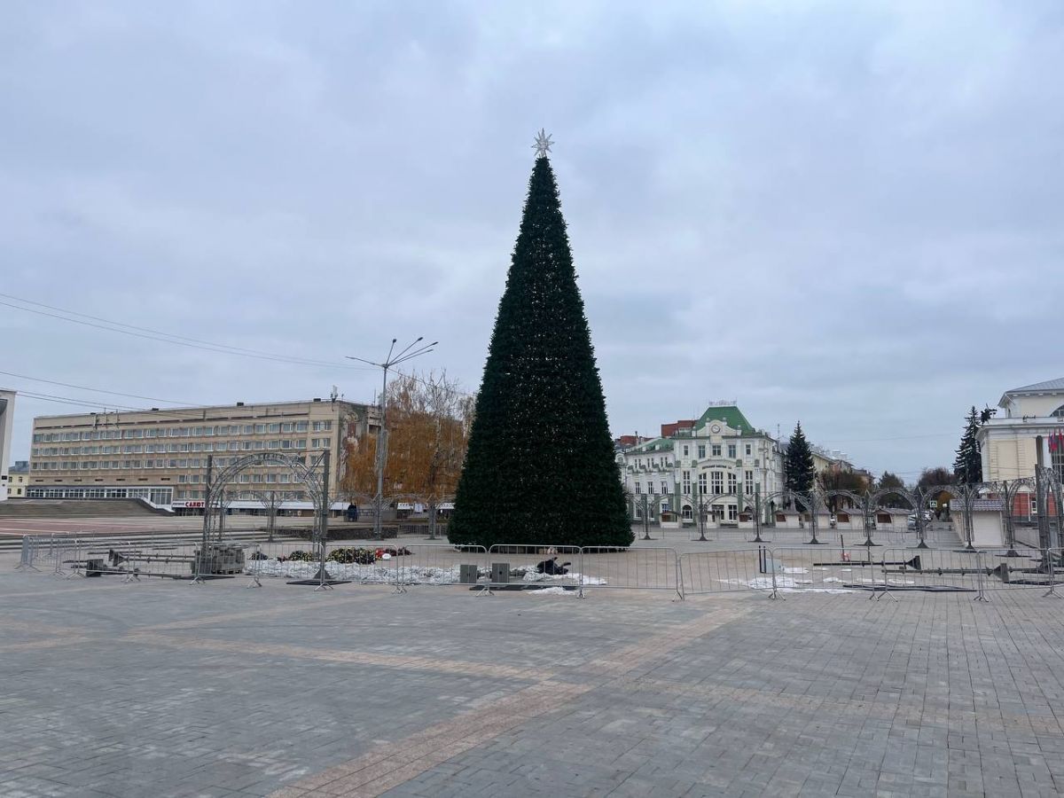 Фотофакт: установка главной новогодней ели уже завершена