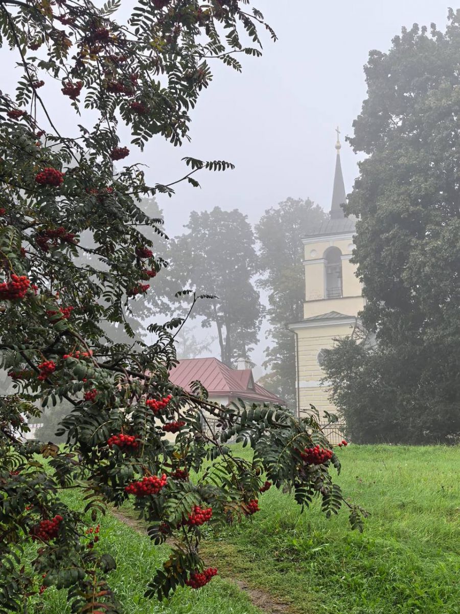 В Спасском-Лутовинове поделись шикарными сентябрьскими кадрами: фото