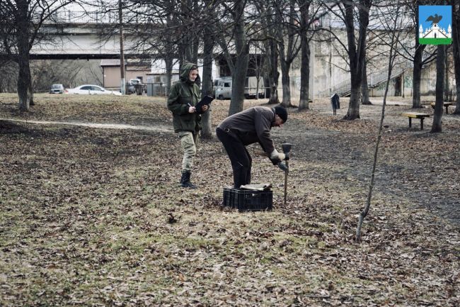 Орловцам чиновники пообещали высадить деревья вдоль набережной