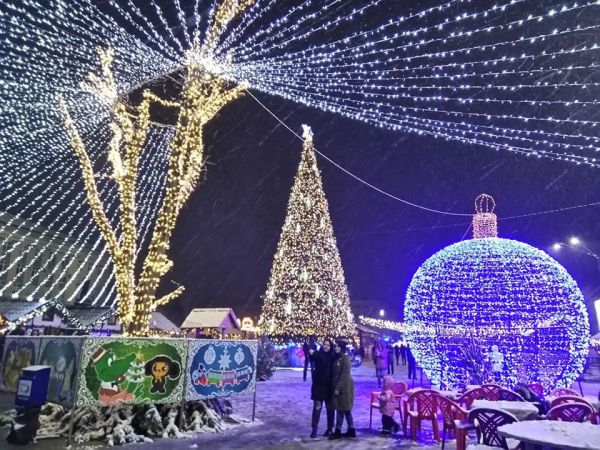 Орловскому «Зеленстрою» доверили собрать новогодние ели в областном центре