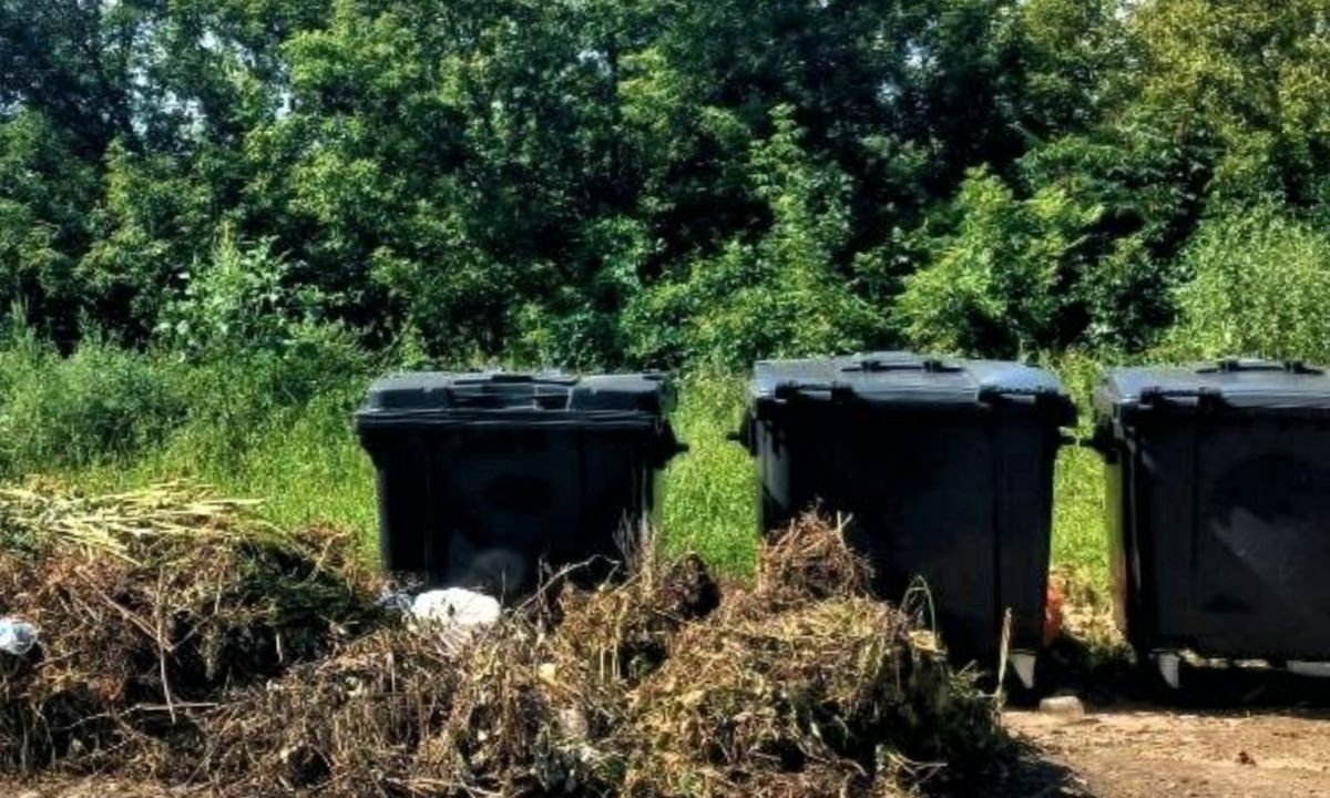 Орловцам напомнили о введении запрета на выброс веток и растительных отходов на контейнерные площадки