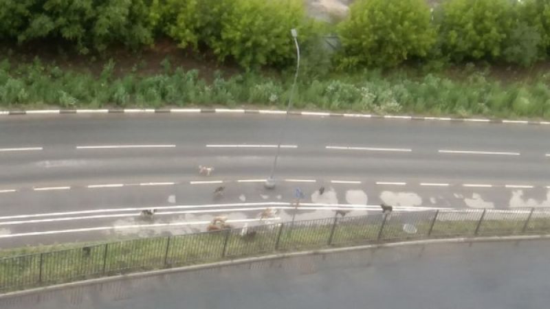 Фото: Ильнар Галиев