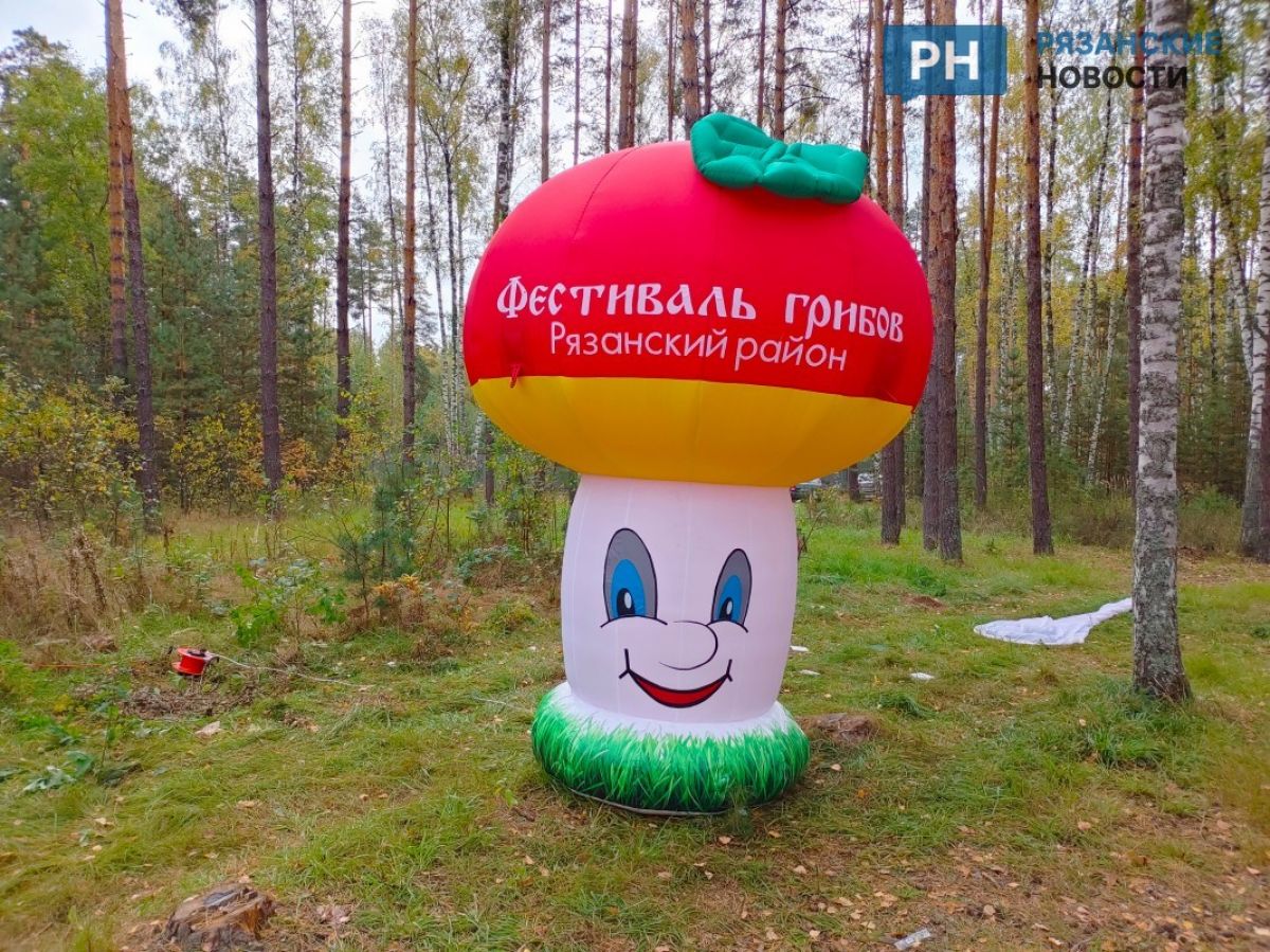 В Рязанском округе к фестивалю «Грибы с глазами» организуют бесплатный автобус