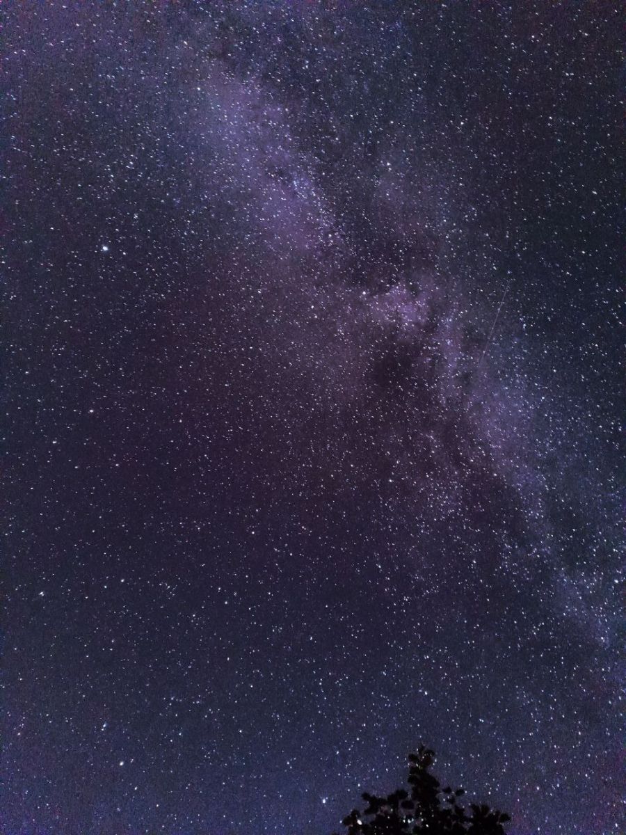 5199680188600942071