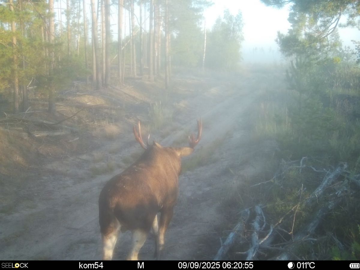 5sfhet2vs-ah2pmrxhyxklg6sgt8qouqlqsrzdsc_goy4tds0ttmbfmvvnbouhw9-r8h8miojkethwly4wnj5smp