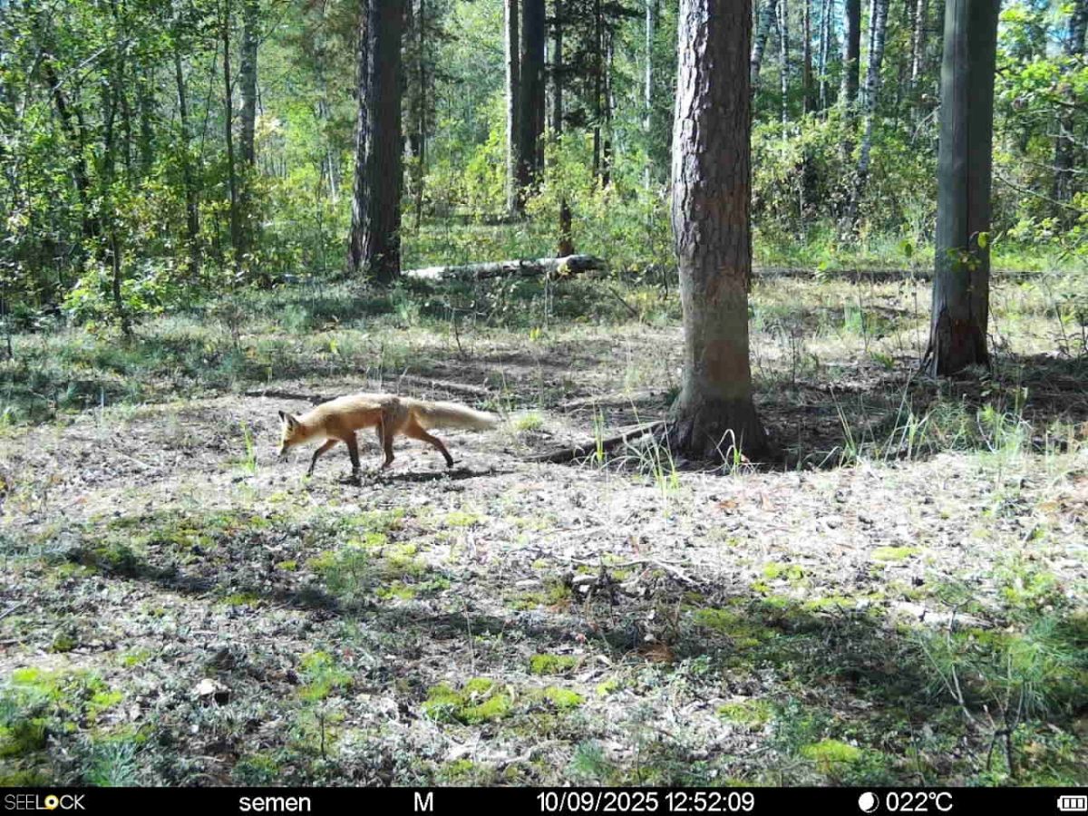 gwv3cjvc_r7sd7-ij9rhh8nxrsyzvxmqvzvebw3kvk5o3l0nbnqigivmnczhp54pg88fyndzerj3k7nze4qx2j7j